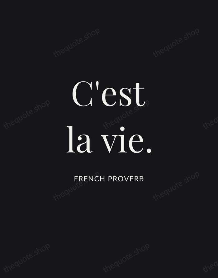 C'est la vie. — French Proverb | Printable Wall Art — Midnight Serif