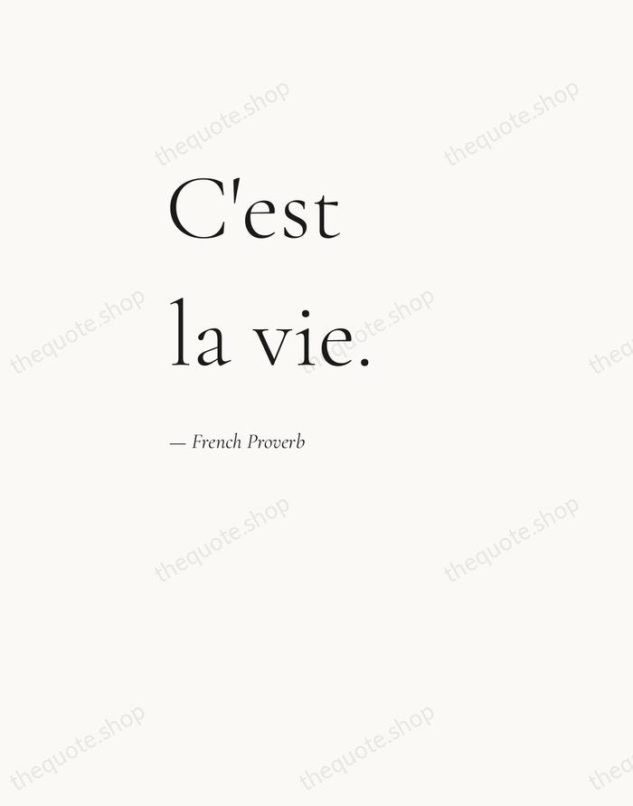 C'est la vie. — French Proverb — Editorial Left Serif