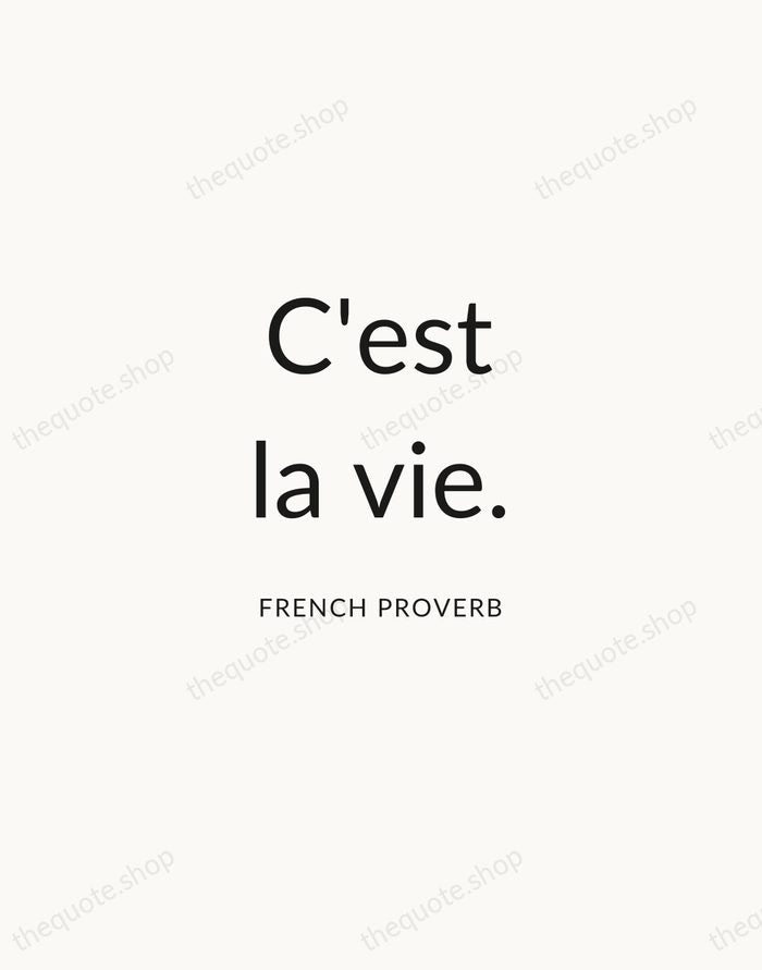 C'est la vie. — French Proverb — Modern Sans Calm