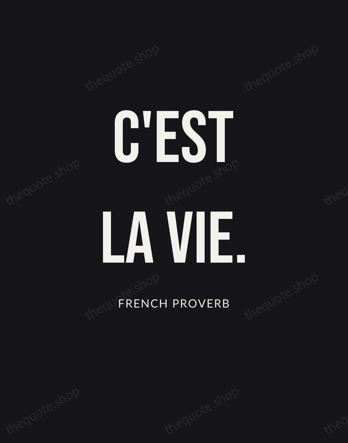 C'est la vie. — French Proverb | Printable Wall Art — Poster Condensed
