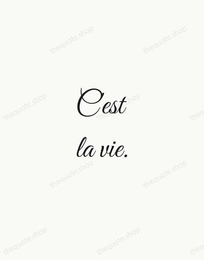 C'est la vie. — French Proverb — Script Whisper