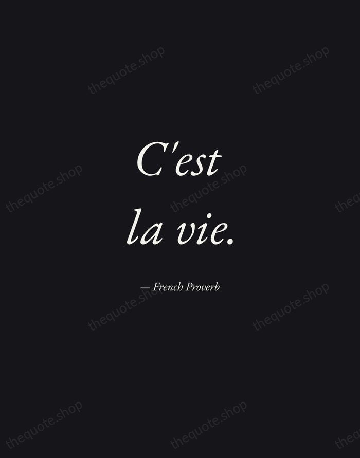 C'est la vie. — French Proverb — Manuscript Italic