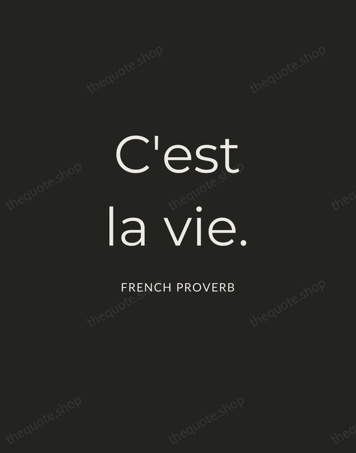 C'est la vie. — French Proverb — Charcoal Sans