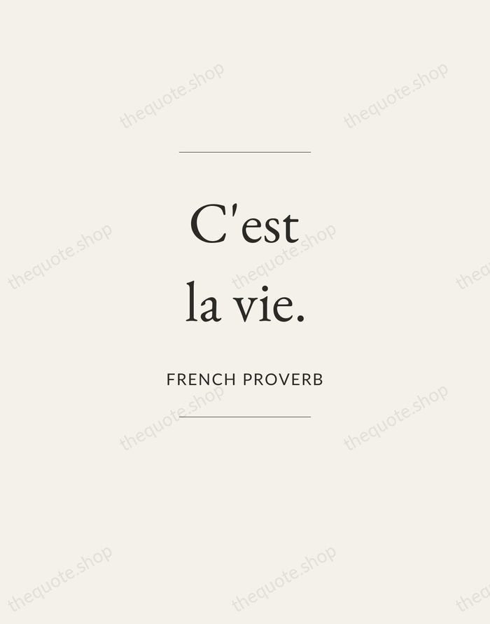C'est la vie. — French Proverb — Gallery Frame