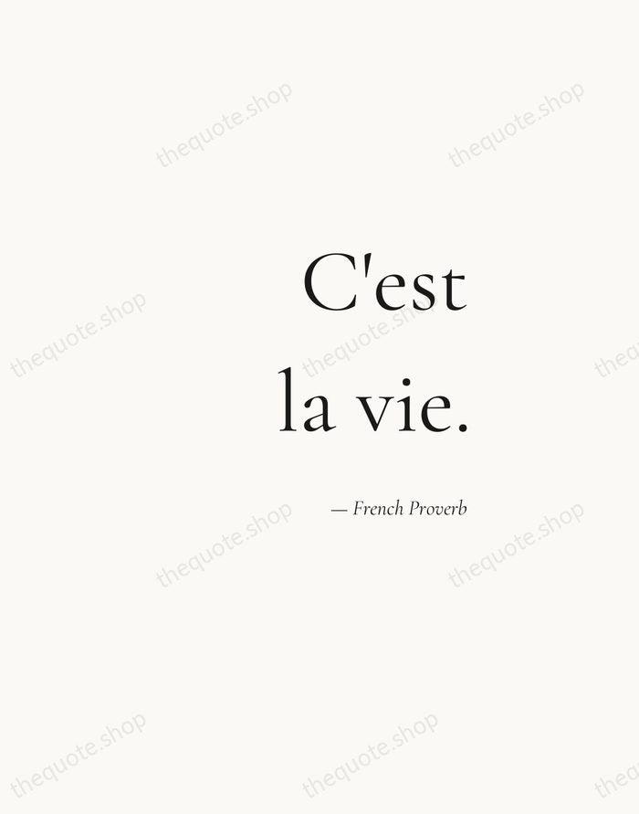 C'est la vie. — French Proverb — Soft Serif Right