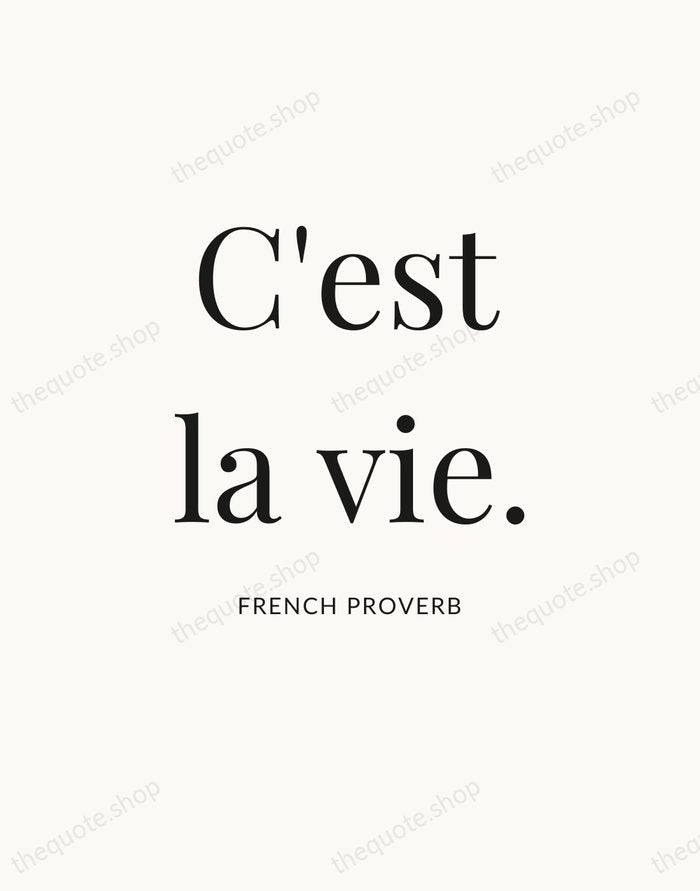 C'est la vie. — French Proverb — Statement Serif