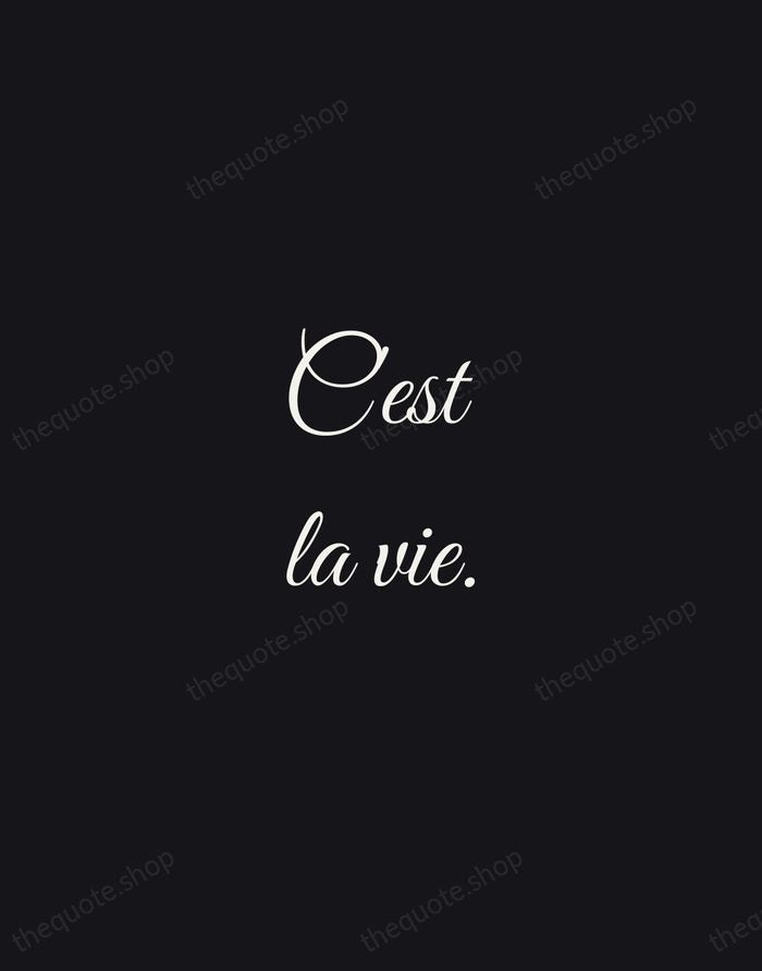 C'est la vie. — French Proverb — Night Script