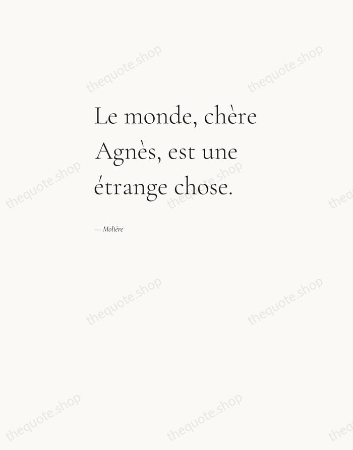 Le monde, chère Agnès, est une étrange chose. — Molière — Editorial Left Serif