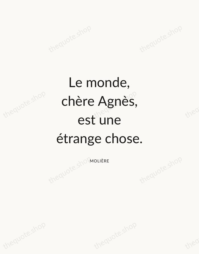 Le monde, chère Agnès, est une étrange chose. — Molière — Modern Sans Calm