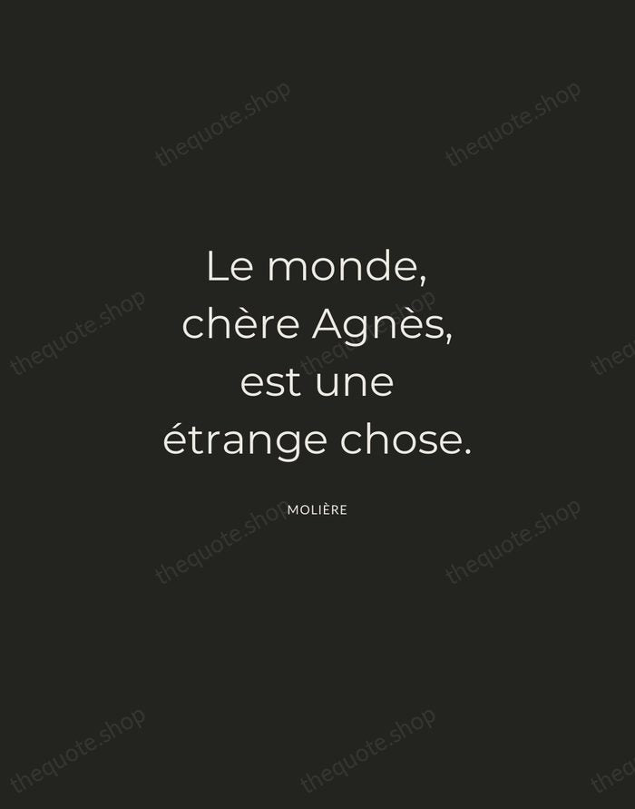 Le monde, chère Agnès, est une étrange chose. — Molière — Charcoal Sans
