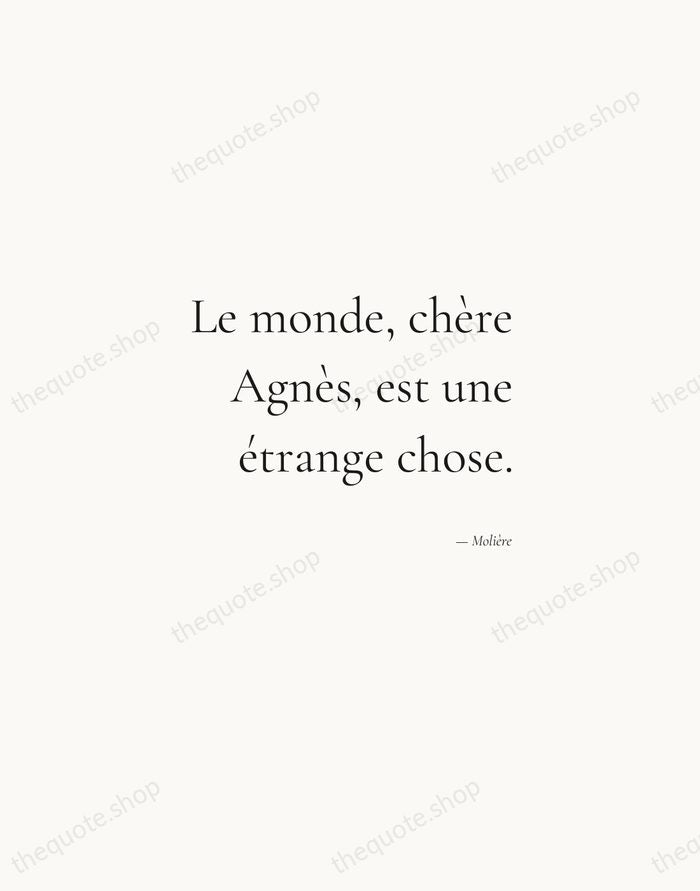Le monde, chère Agnès, est une étrange chose. — Molière — Soft Serif Right