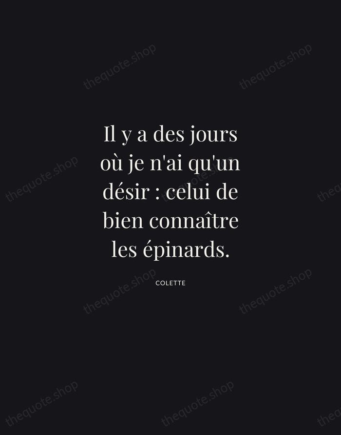 Il y a des jours où je n'ai qu'un désir : celui… — Colette | Printable Wall Art — Midnight Serif