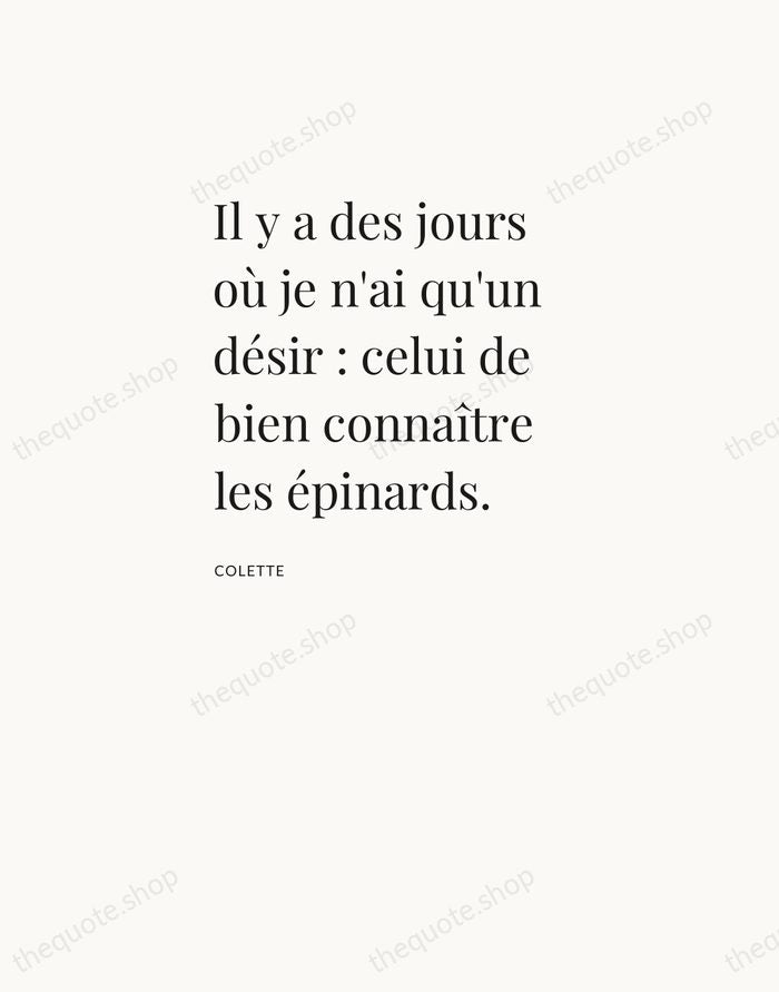 Il y a des jours où je n'ai qu'un désir : celui… — Colette — Asymmetric Left