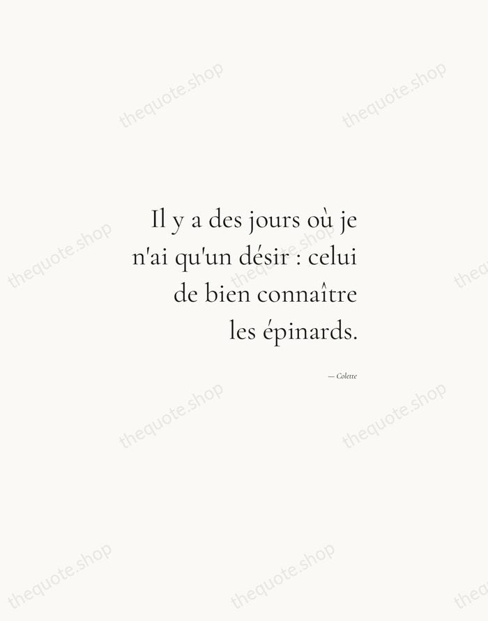 Il y a des jours où je n'ai qu'un désir : celui… — Colette — Soft Serif Right