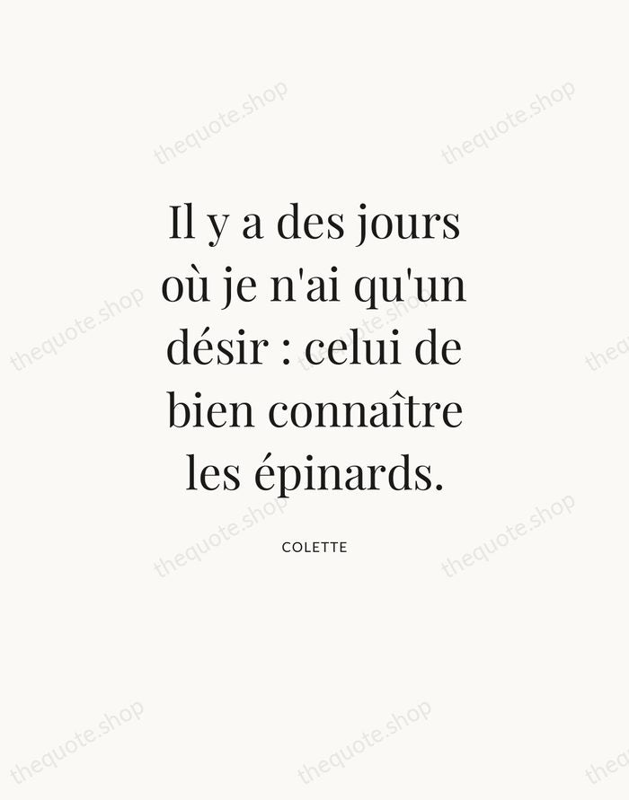 Il y a des jours où je n'ai qu'un désir : celui… — Colette — Statement Serif