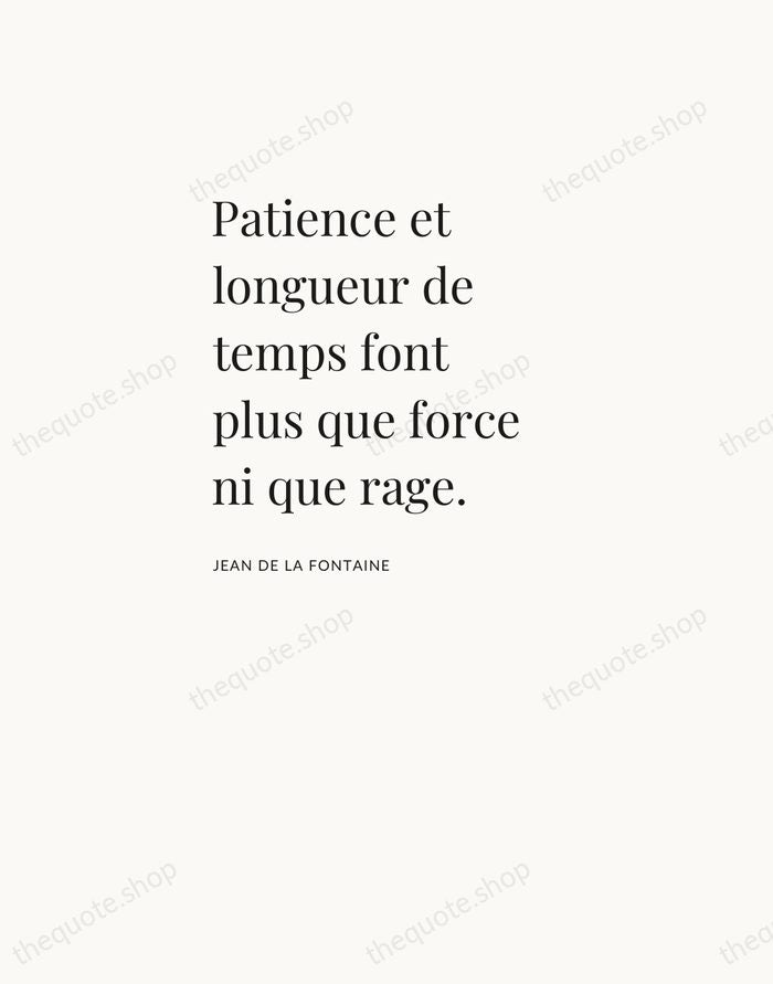 Patience et longueur de temps font plus que force ni que rage. — Jean de La Fontaine — Asymmetric Left
