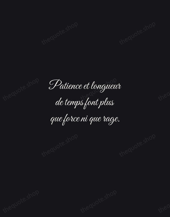 Patience et longueur de temps font plus que force ni que rage. — Jean de La Fontaine — Night Script