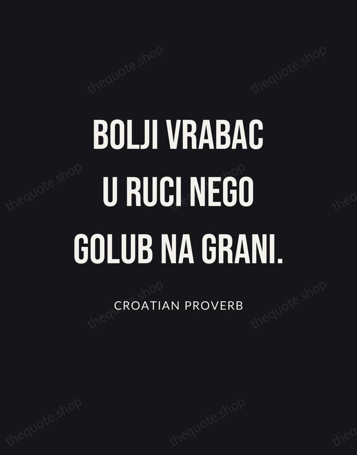Bolji vrabac u ruci nego golub na grani. — Croatian Proverb | Printable Wall Art — Poster Condensed