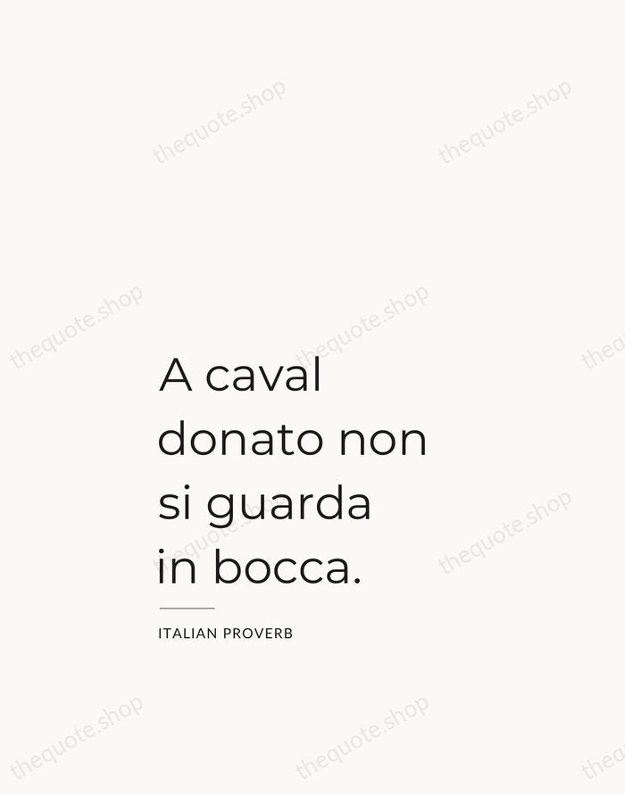 A caval donato non si guarda in bocca. — Italian Proverb — Studio Left
