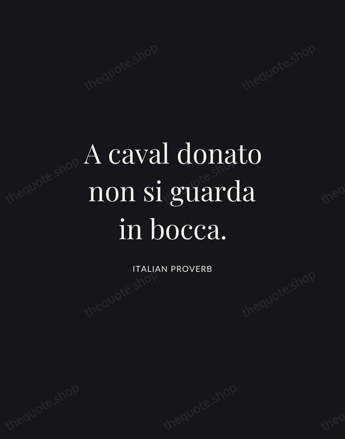 A caval donato non si guarda in bocca. — Italian Proverb | Printable Wall Art — Midnight Serif
