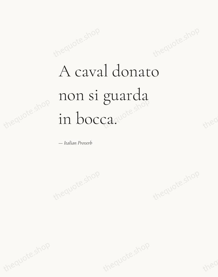 A caval donato non si guarda in bocca. — Italian Proverb — Editorial Left Serif