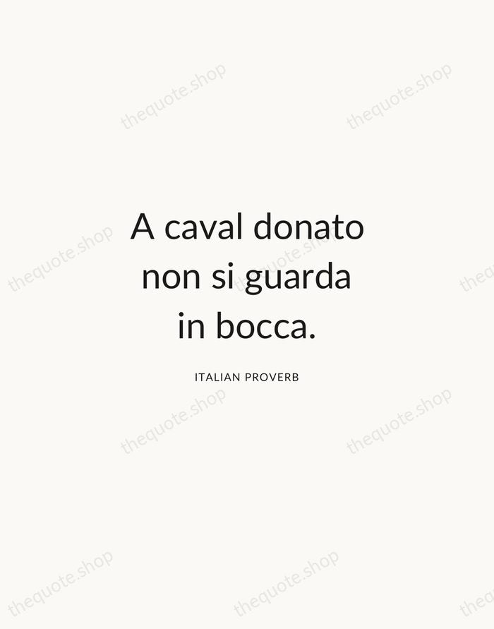 A caval donato non si guarda in bocca. — Italian Proverb — Modern Sans Calm
