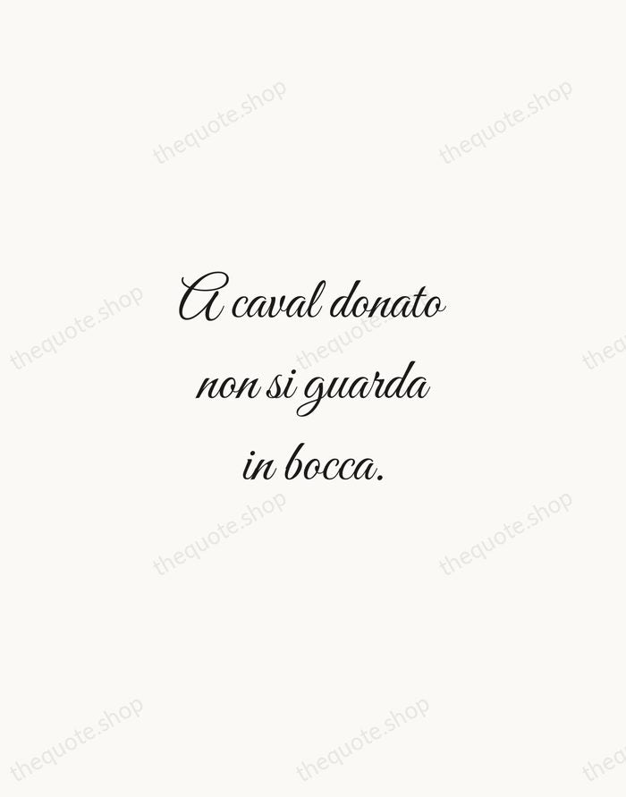 A caval donato non si guarda in bocca. — Italian Proverb — Script Whisper