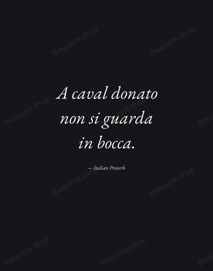 A caval donato non si guarda in bocca. — Italian Proverb — Manuscript Italic