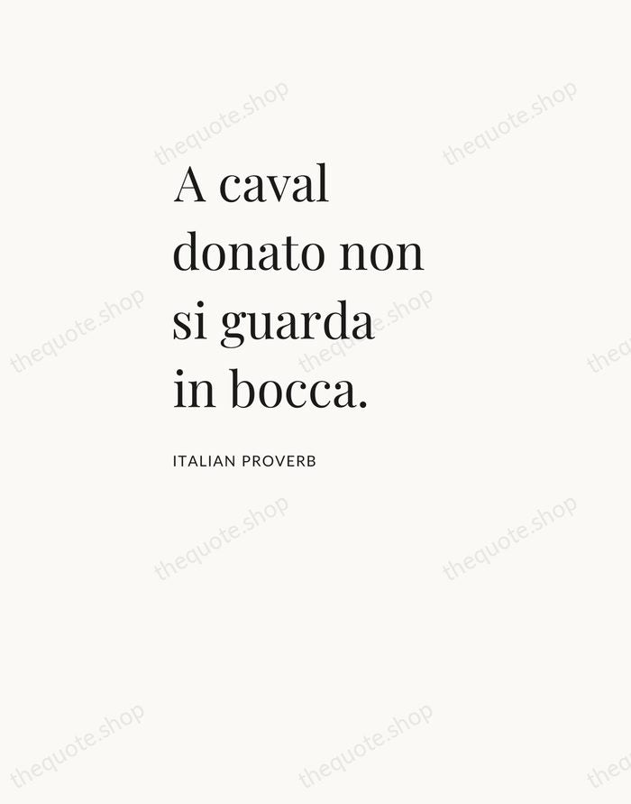 A caval donato non si guarda in bocca. — Italian Proverb — Asymmetric Left