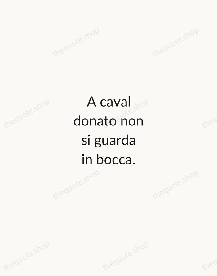 A caval donato non si guarda in bocca. — Italian Proverb — Minimal Unsigned