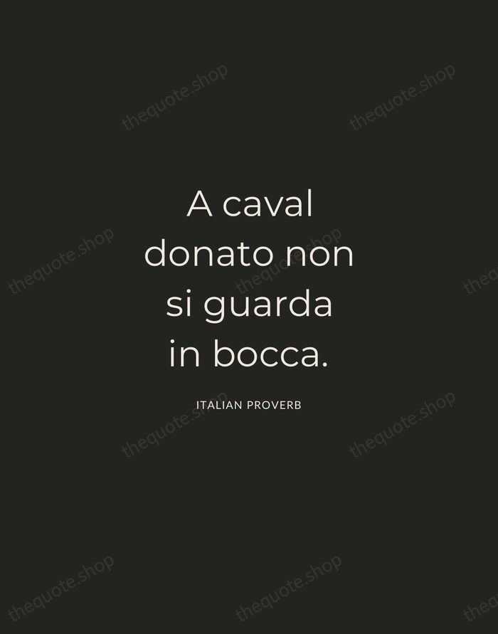 A caval donato non si guarda in bocca. — Italian Proverb — Charcoal Sans