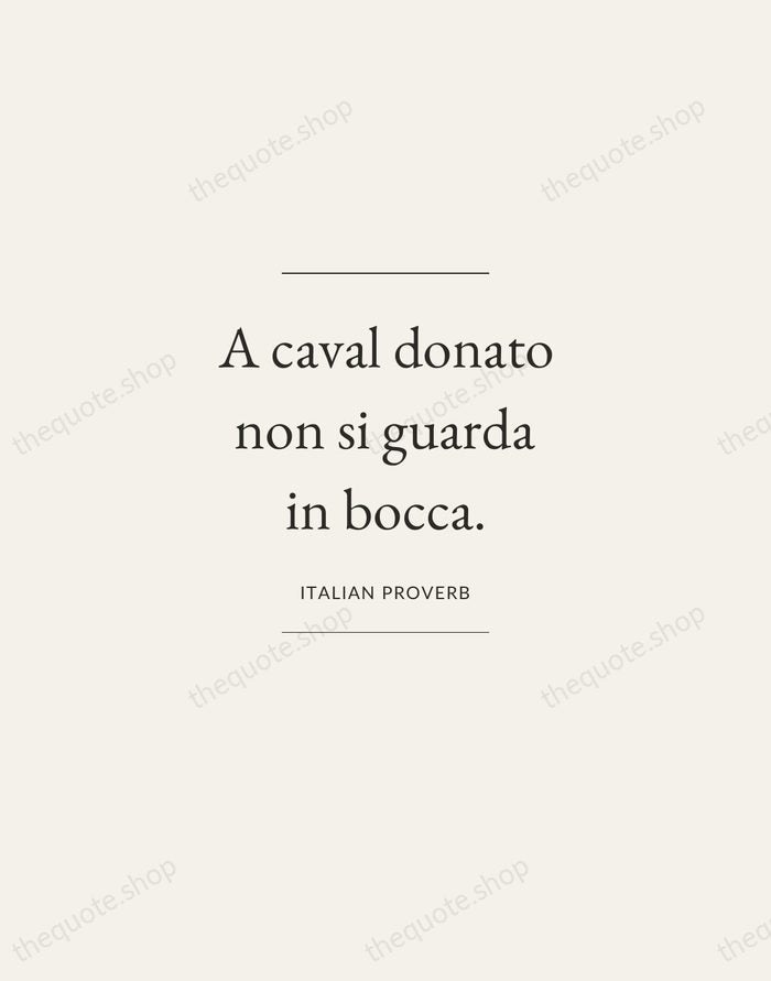 A caval donato non si guarda in bocca. — Italian Proverb — Gallery Frame