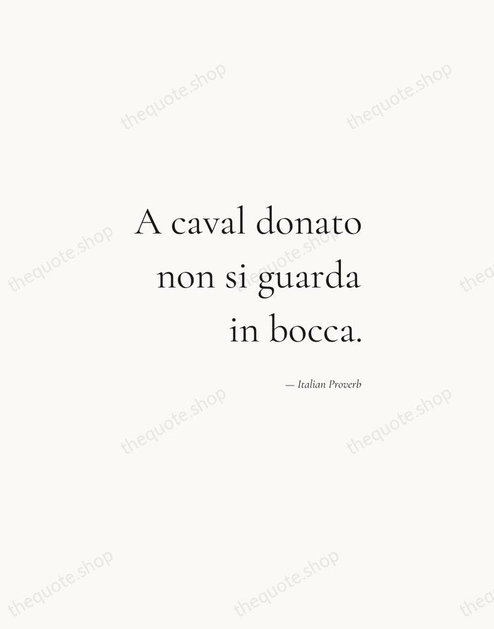 A caval donato non si guarda in bocca. — Italian Proverb — Soft Serif Right
