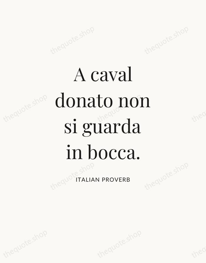 A caval donato non si guarda in bocca. — Italian Proverb — Statement Serif