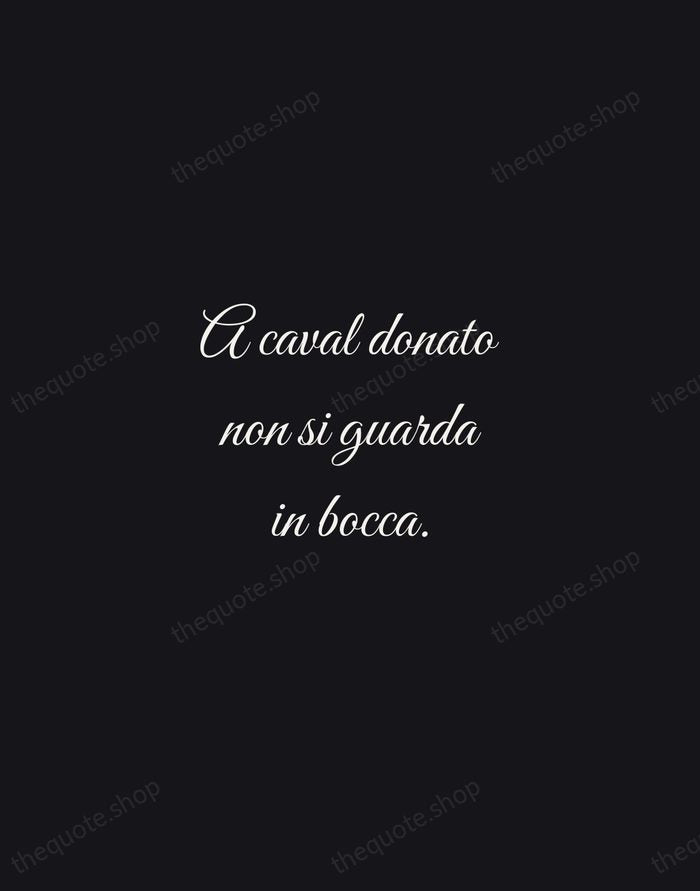 A caval donato non si guarda in bocca. — Italian Proverb — Night Script