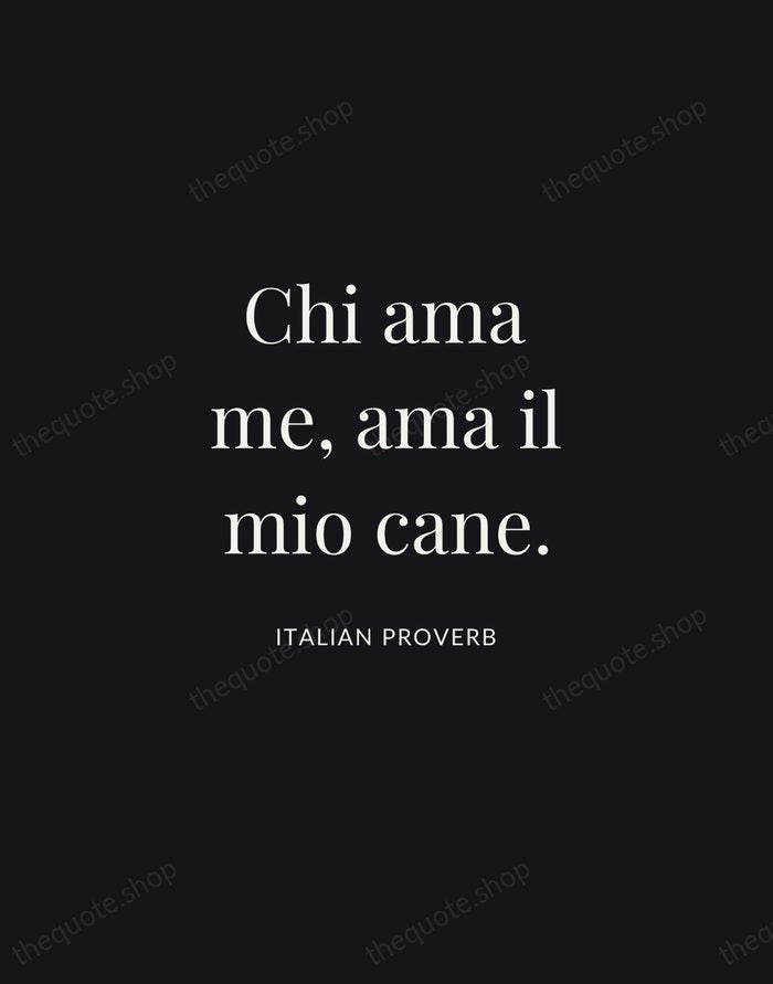 Chi ama me, ama il mio cane. — Italian Proverb | Printable Wall Art — Midnight Serif