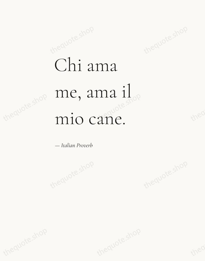 Chi ama me, ama il mio cane. — Italian Proverb — Editorial Left Serif