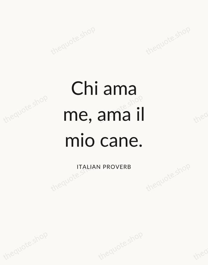 Chi ama me, ama il mio cane. — Italian Proverb — Modern Sans Calm