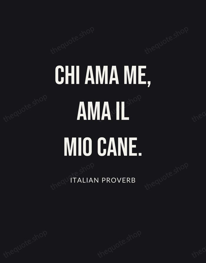 Chi ama me, ama il mio cane. — Italian Proverb | Printable Wall Art — Poster Condensed
