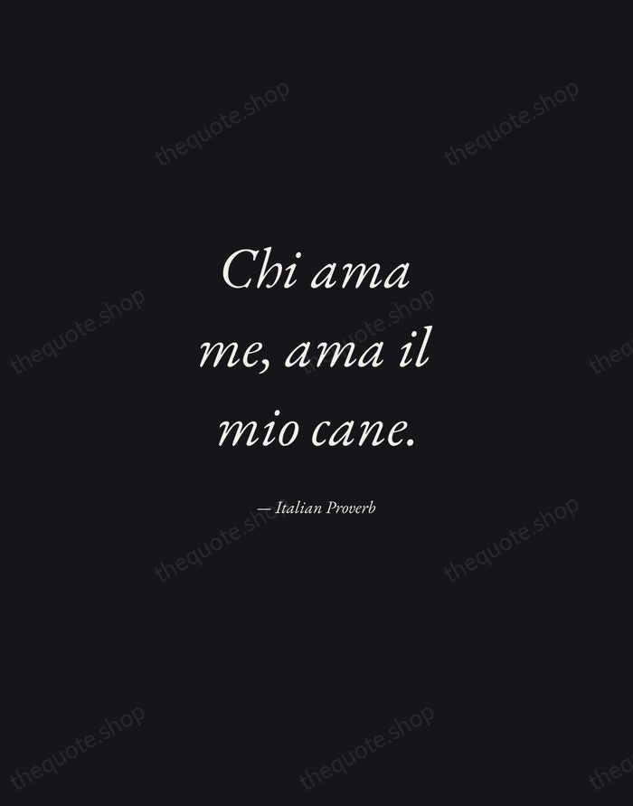 Chi ama me, ama il mio cane. — Italian Proverb — Manuscript Italic