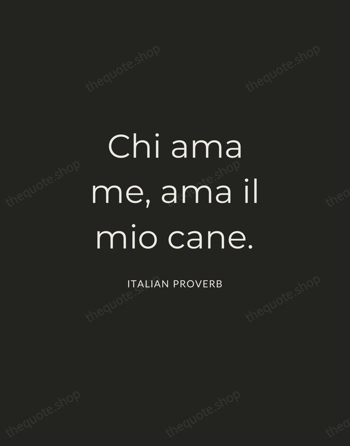 Chi ama me, ama il mio cane. — Italian Proverb — Charcoal Sans