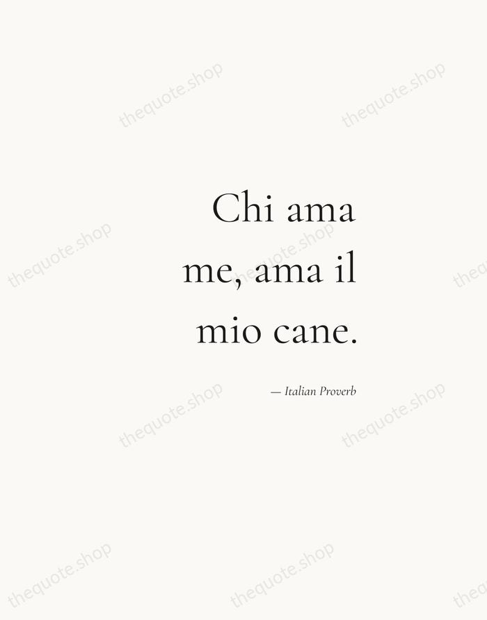 Chi ama me, ama il mio cane. — Italian Proverb — Soft Serif Right