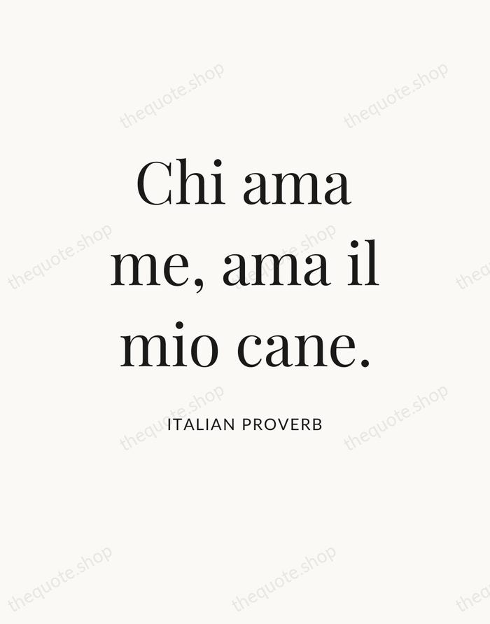 Chi ama me, ama il mio cane. — Italian Proverb — Statement Serif