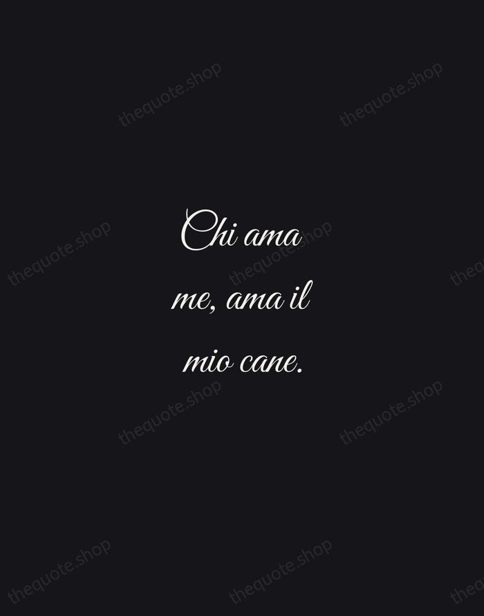 Chi ama me, ama il mio cane. — Italian Proverb — Night Script