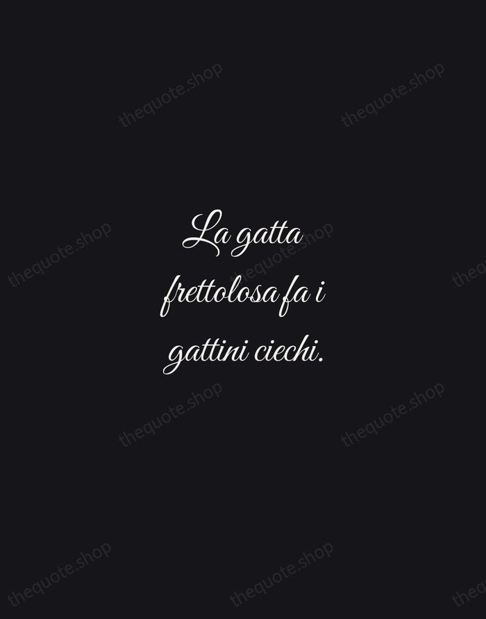 La gatta frettolosa fa i gattini ciechi. — Italian Proverb — Night Script