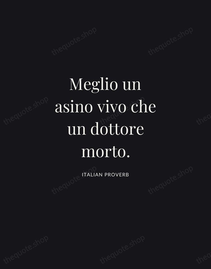 Meglio un asino vivo che un dottore morto. — Italian Proverb | Printable Wall Art — Midnight Serif