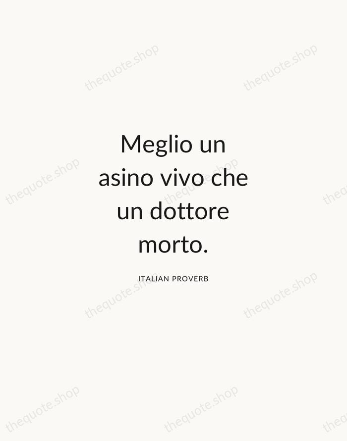 Meglio un asino vivo che un dottore morto. — Italian Proverb — Modern Sans Calm