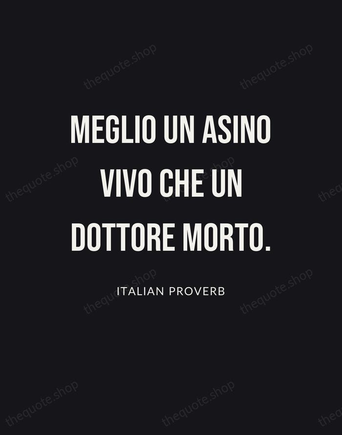 Meglio un asino vivo che un dottore morto. — Italian Proverb | Printable Wall Art — Poster Condensed