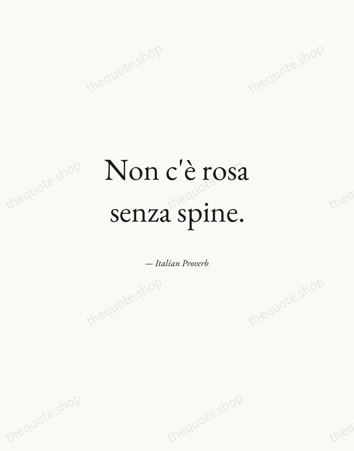 Non c'è rosa senza spine. — Italian Proverb — Quiet Garamond