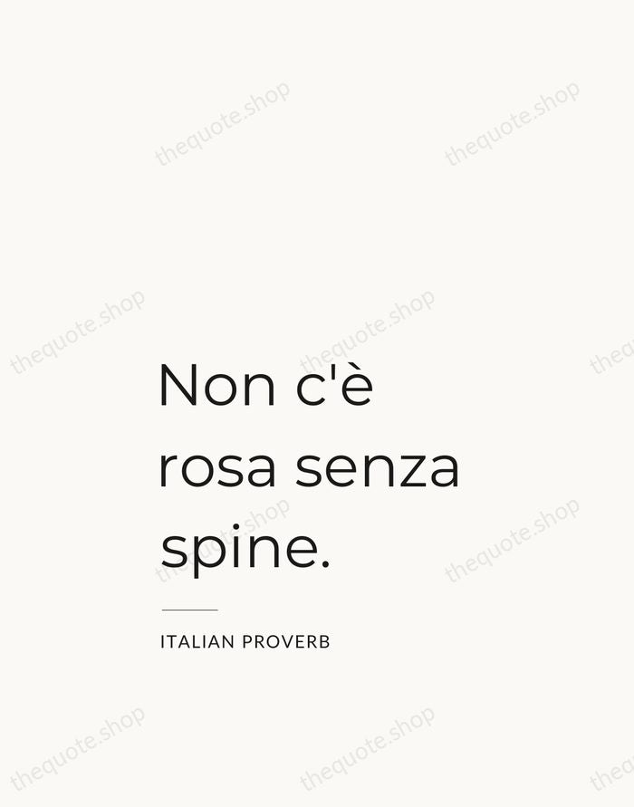 Non c'è rosa senza spine. — Italian Proverb — Studio Left